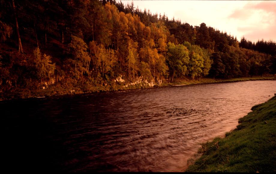 A shot of the River Spey in golden pink hues at sunset
