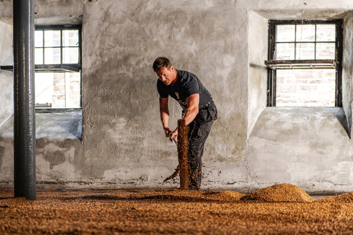 Man turning the barley using shovel at Highland Park Distillery