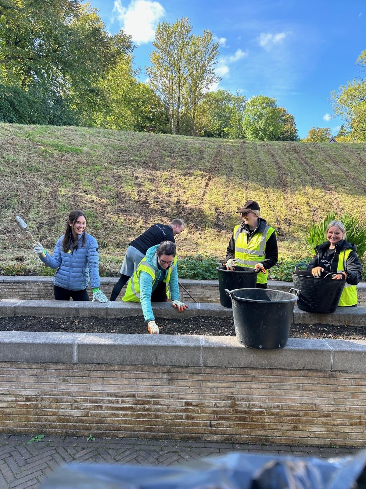 Four colleagues working outside gardening and mending a wall