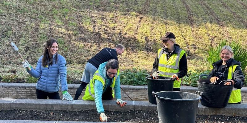 Four colleagues working outside gardening and mending a wall