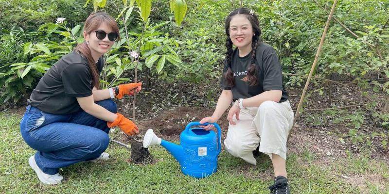 Two colleagues planting trees