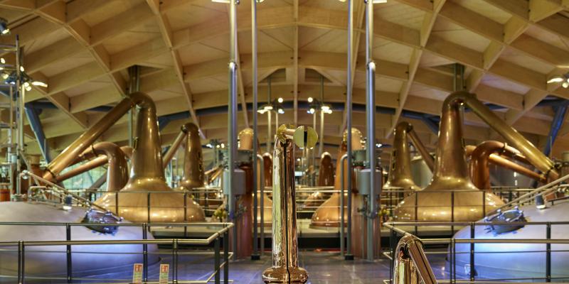 The Macallan distillery still house showing polished copper stills