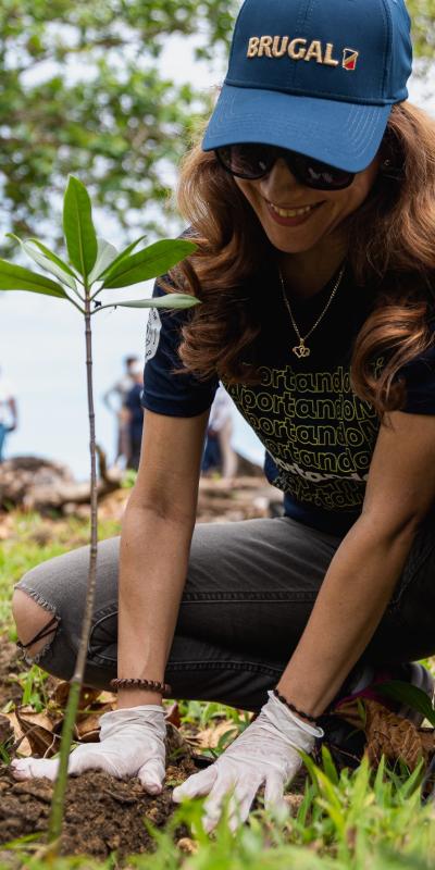 A woman planting a mangrove seedlin