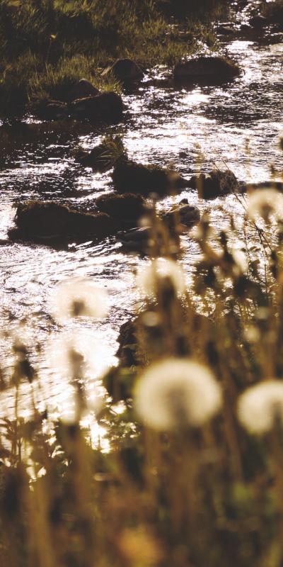 The burn next to The Glenrothes distillery